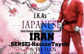 سید حسن طیبی نماینده انجمن شوتوکان کاراته سنتی اوساکا ژاپن در ایران شد