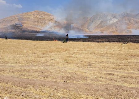 آتش به جان مزارع کشاورزی روستاهای مُنگنان باغملک