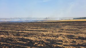 آتش سوزی در مزارع کشاورزی باغملک 